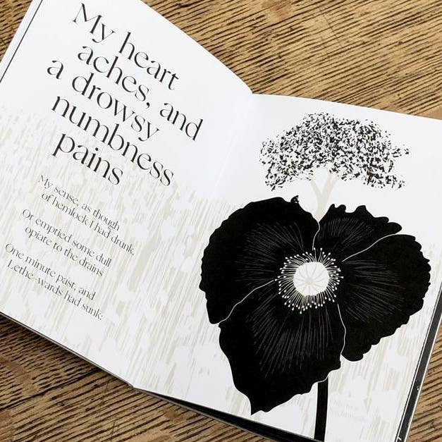 Obvious State - Wholesale Poetry & Drama - John Keats, Illustrated Book2