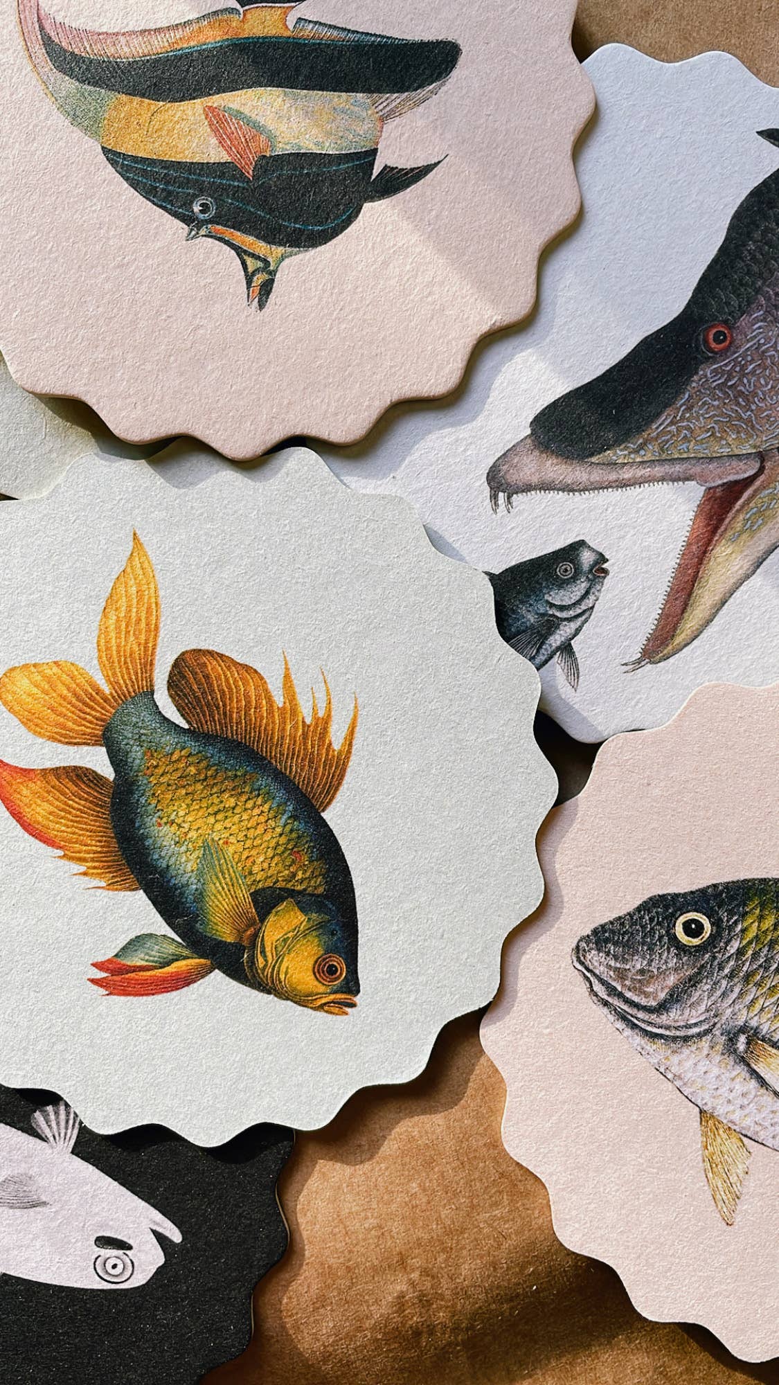 30x40 - Wholesale Coasters - Coaster Set Fish 🐠🐟🐡 4