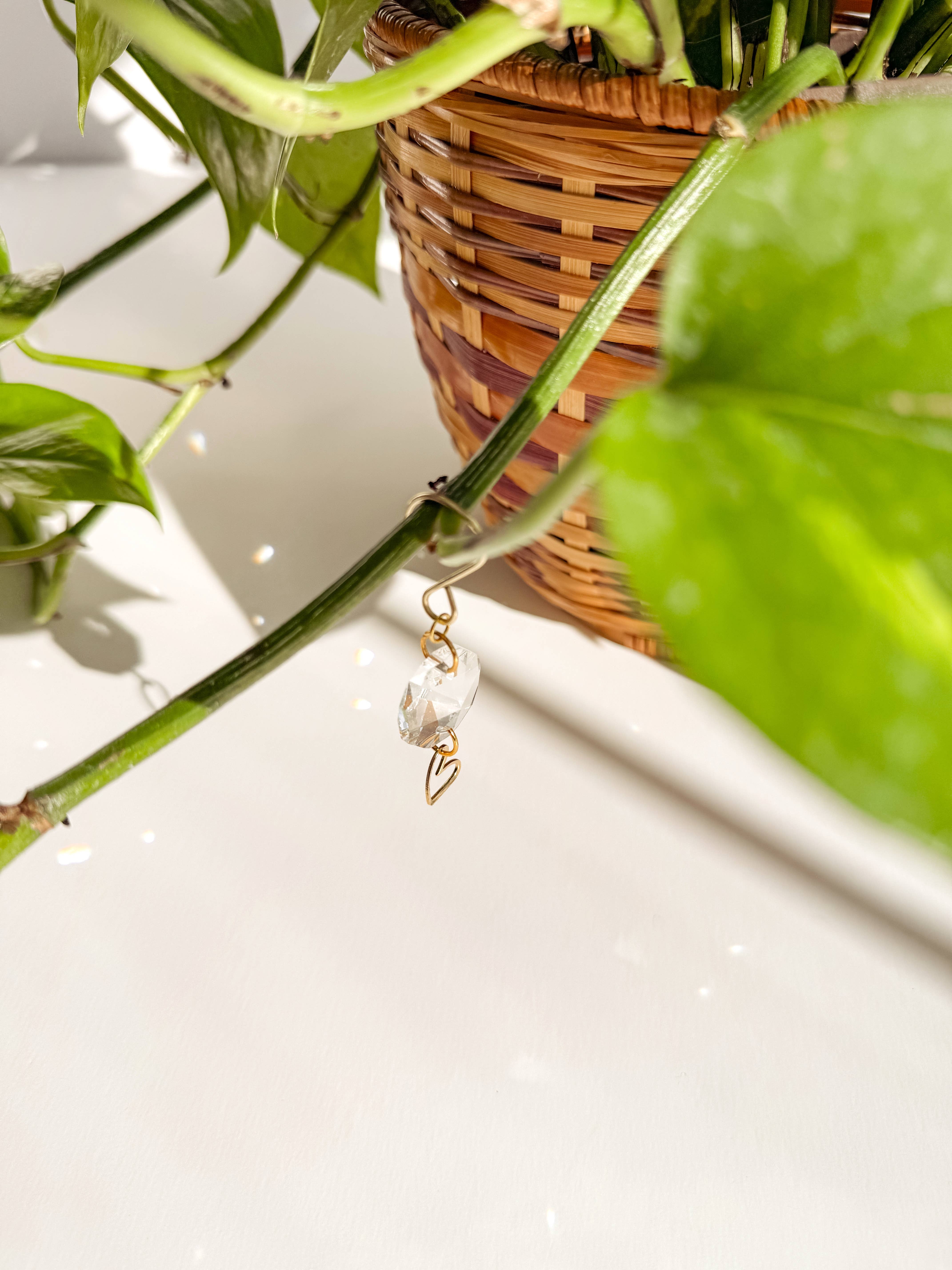 Meraki The Studio Co. - Wholesale Suncatcher - Plant Charm | Suncatcher + Heart | Houseplant Vine Jewelry7