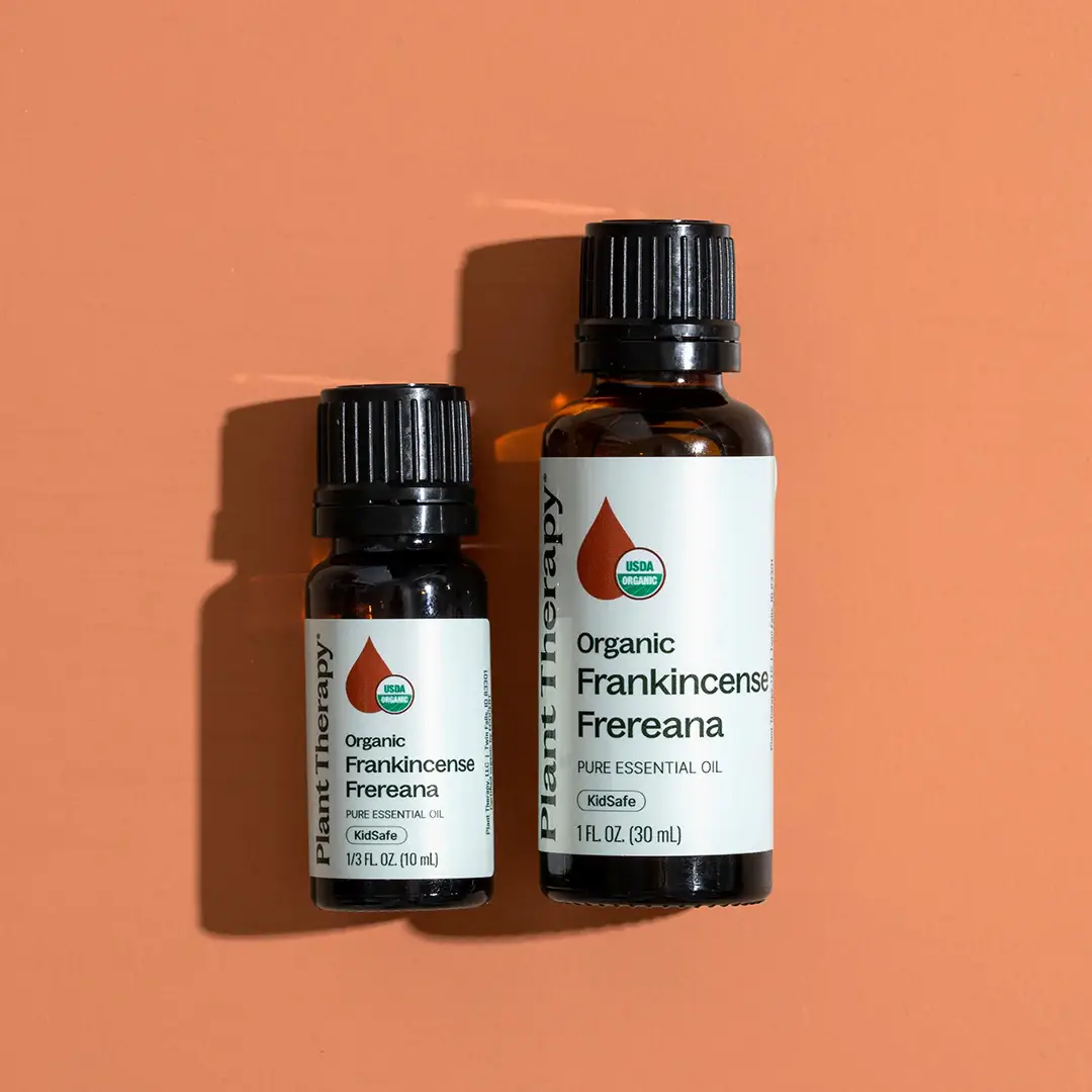 Plant Therapy - Wholesale Essential Oil - Organic Frankincense Frereana Essential Oil 10 mL4