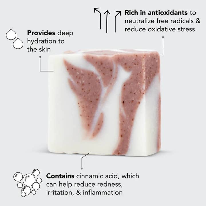 KITSCH - Wholesale Bar Soap - Shea Butter Exfoliating Body Wash2