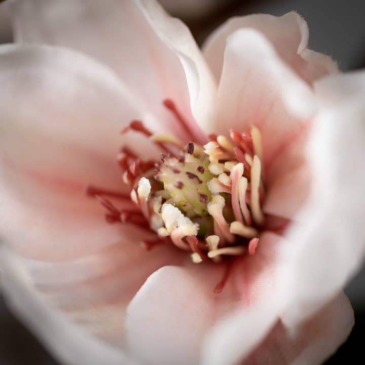 Sullivans Home Decor - Wholesale Artificial Flowers - FAUX BLUSH MAGNOLIA STEM
