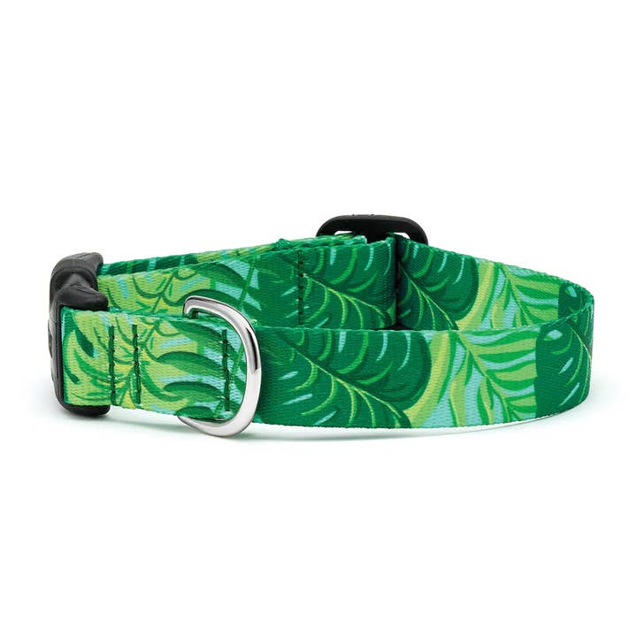 Up Country Sport Palms Collar for wholesale by Pet Palette Distribution