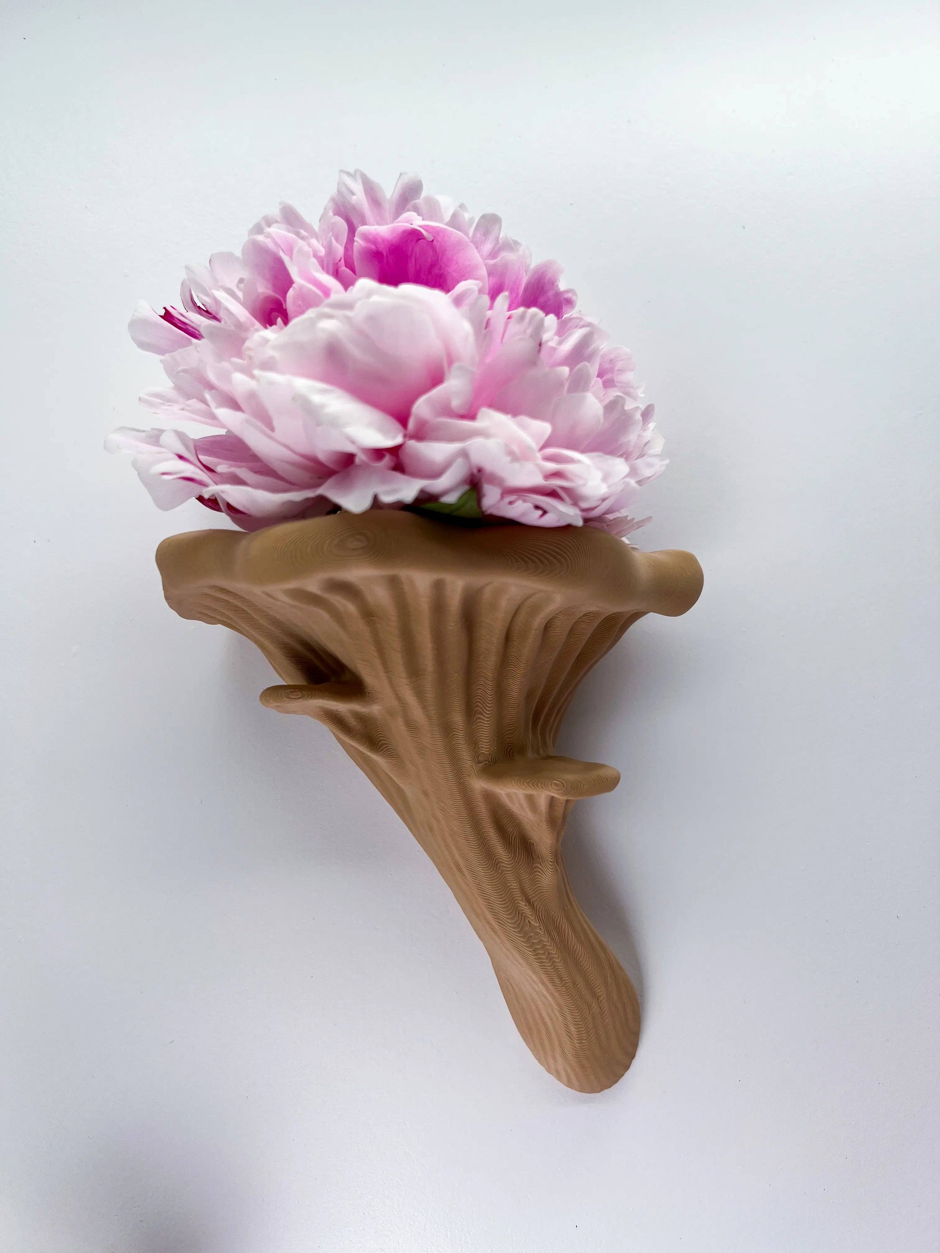 Roomberry - Wholesale Wall Mounted Shelf - Floating Oyster Mushroom Wall Shelf4