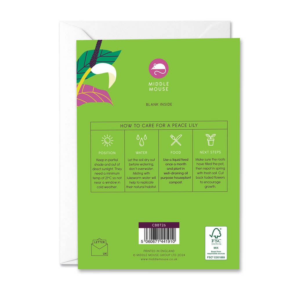 Middle Mouse - Wholesale Everyday Greeting Card - Peace Lily card with growing tips1
