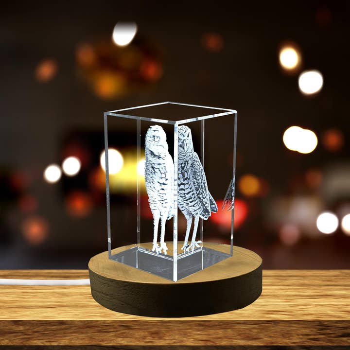 AB Crystal Collection - Venta al por mayor Artículo decorativo de mesa - Escultura de Cristal Bellamente Grabada en 3D de un Búho Excavador Recuerdo Regalo