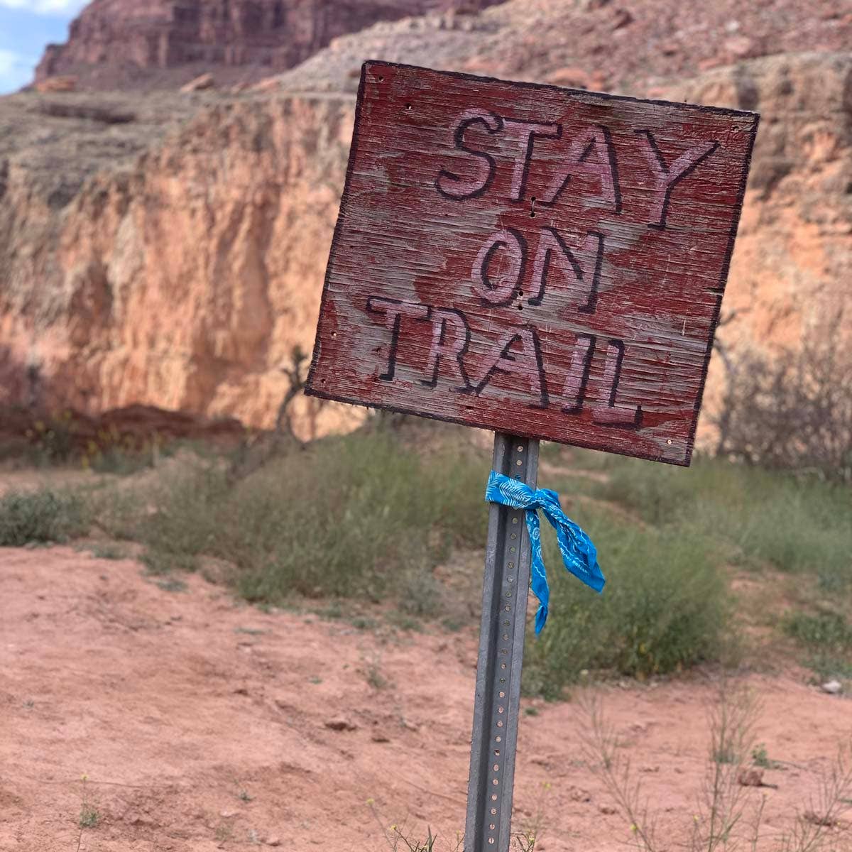 Mister Bandana - Wholesale Bandana - Uniseks - Wilde Palmen25