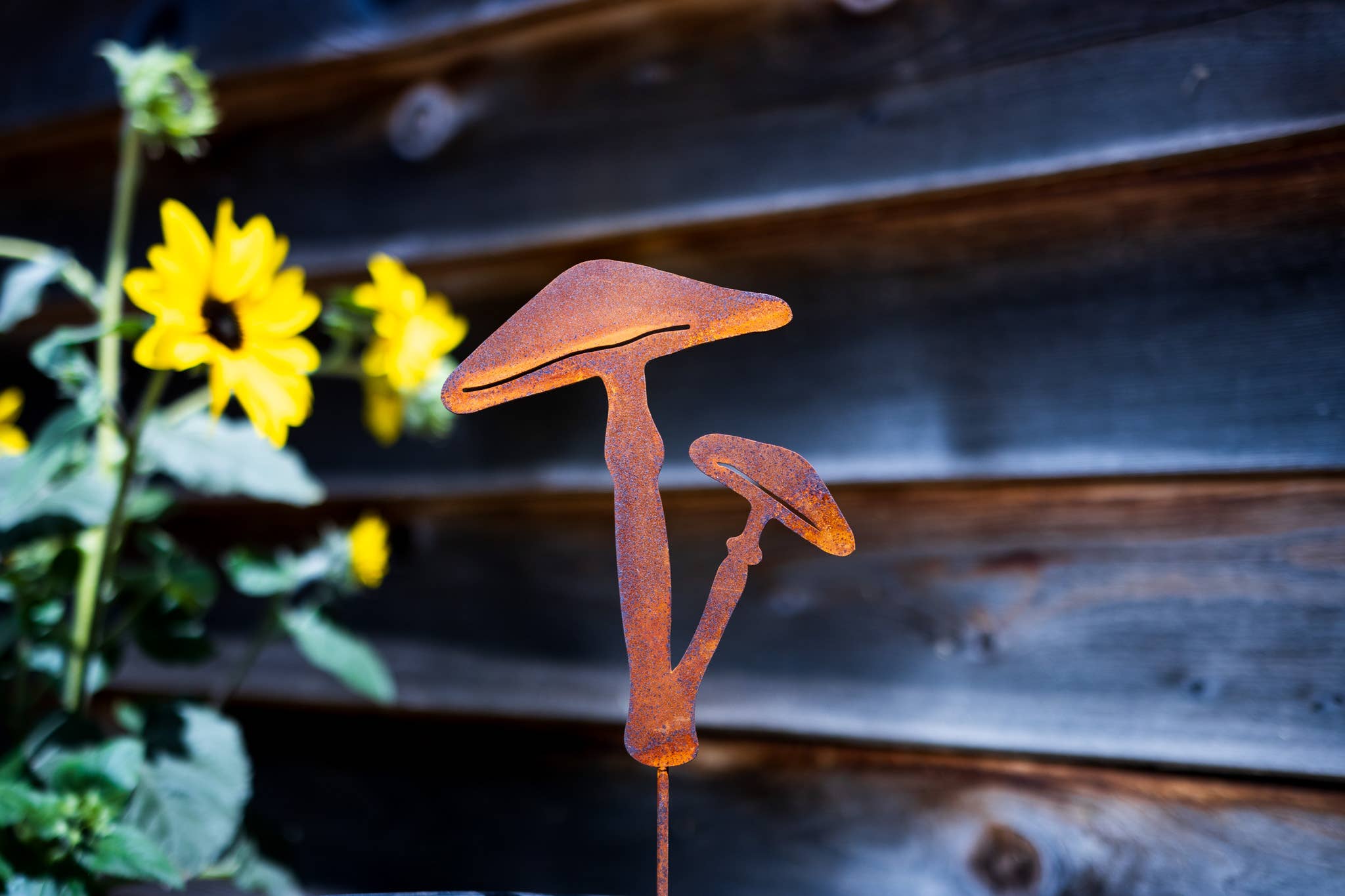Elegant Garden Design - Vente Piquets de jardin/pelouse - Piques à champignons - Lot de cinq12