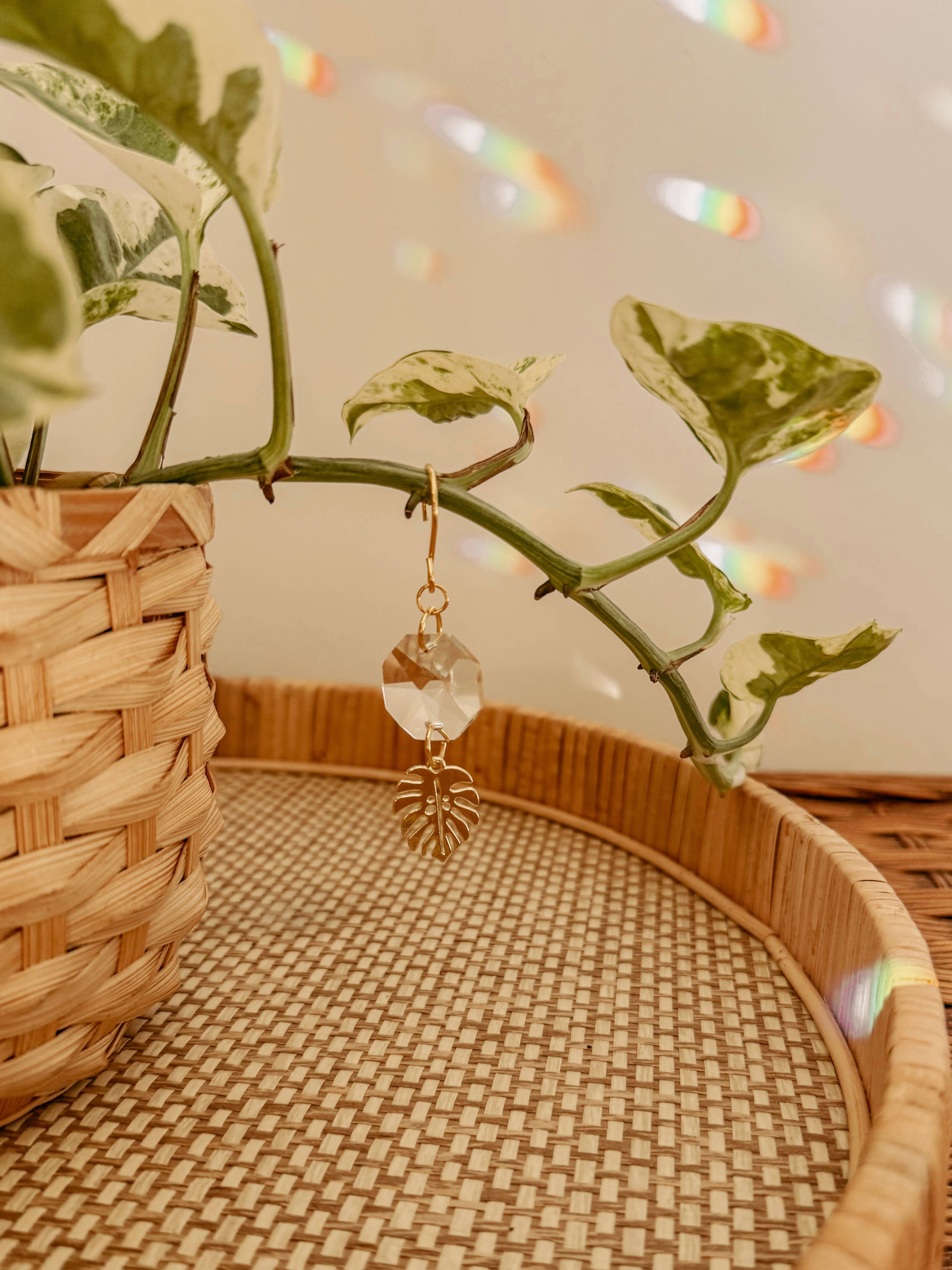 Meraki The Studio Co. – wholesale Solfångare – Växtcharm | Solfångare + Monstera-blad | Ranktillbehör2