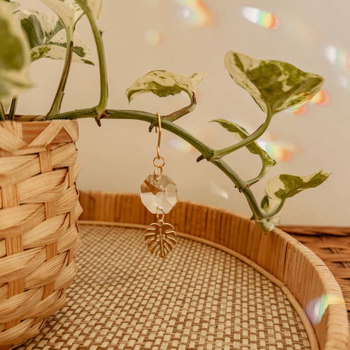 Meraki The Studio Co. – Suncatcher por atacado – Encanto de Planta | Apanhador de Sol + Folha de Monstera | Acessório de Vinha2