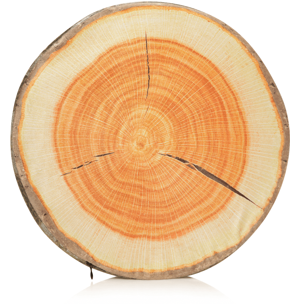 Husband Pillow - Vendita all'ingrosso Cuscini per letto - 360 - FETTA-REGISTRO-MAPL12