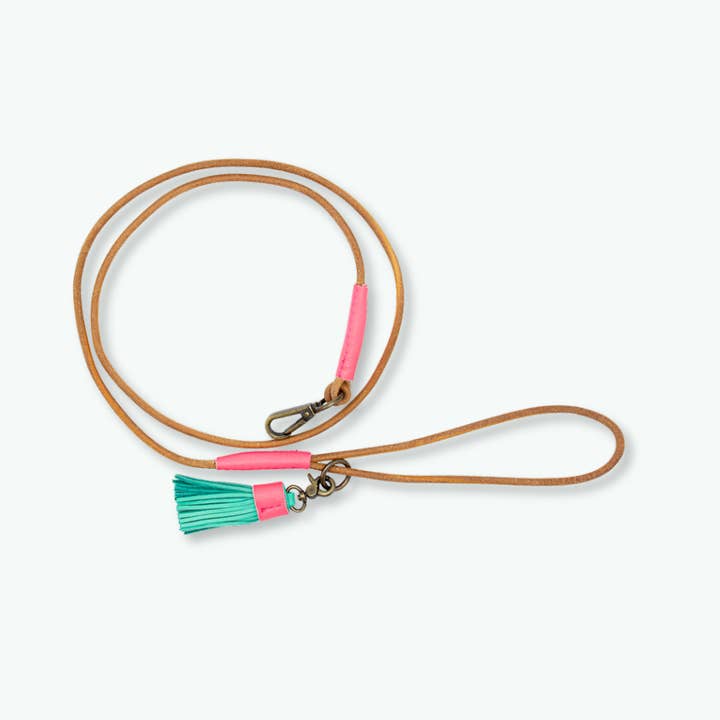 Dushi Dog Leash for wholesale by Dog with a Mission