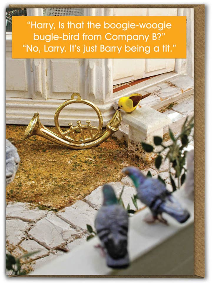 Verkoop Grappige Verjaardagskaart - Barry Die Zich Als Een Eikel Gedraagt voor wholesale door Brainbox Candy