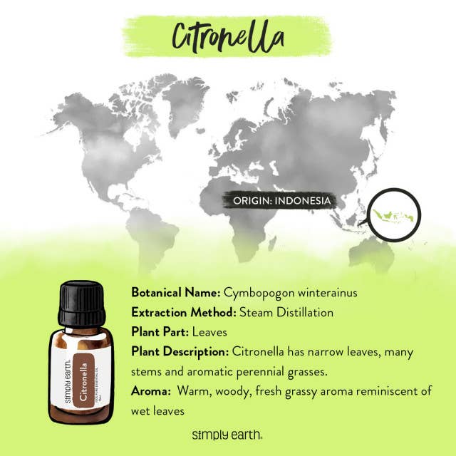 Simply Earth - Wholesale Essential Oil - Citronella Essential Oil 15ml