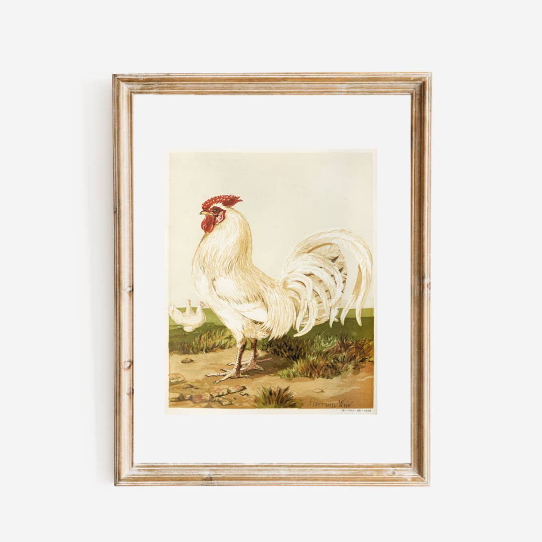 Sea to Skye - Wholesale Art Print - English White Dorking Art Print