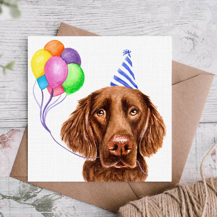 Fegato Flatcoat Retriever - Biglietto di compleanno, colore: cioccolato per la vendita all'ingrosso da parte di Cloud Jellybean Art