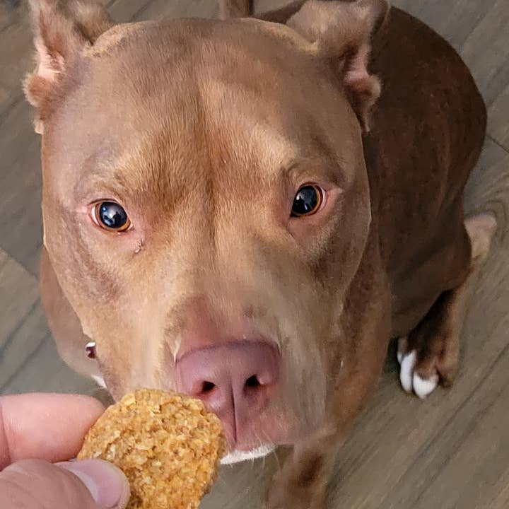 Poochie Butter - Wholesale Pet Treats - Dog - Peanut Butter & Blueberry Soft Chewy Dog Treats 8oz3