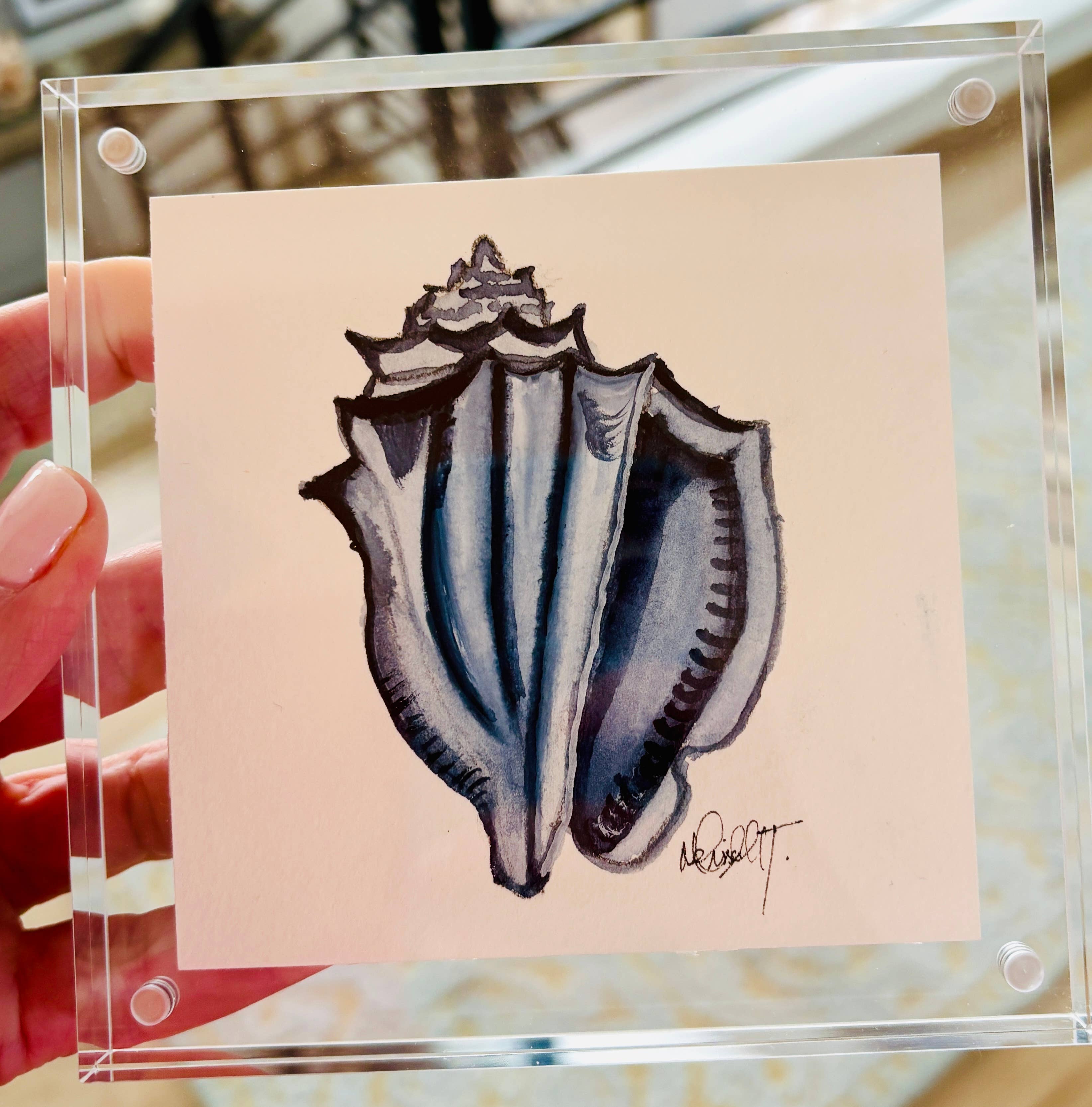 Paper Shells Studio - Venta al por mayor Ilustración - Concha marina original en acuarela en marco de bloque acrílico, 5x57