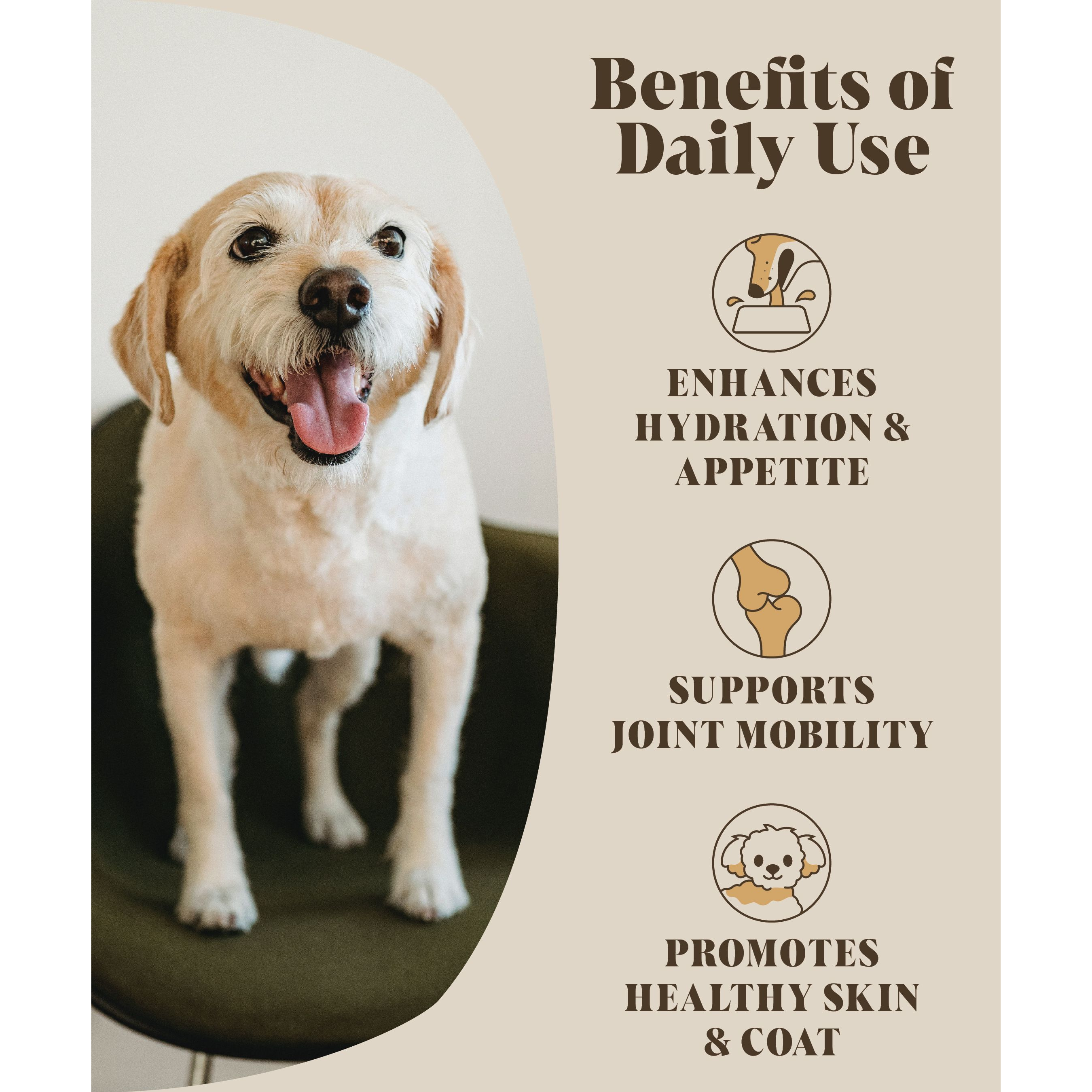 Hackney Dog House - Wholesale Pet Food - Dog - Bone Broth for Dogs | Dog Gravy Food Topper for Picky Eaters3