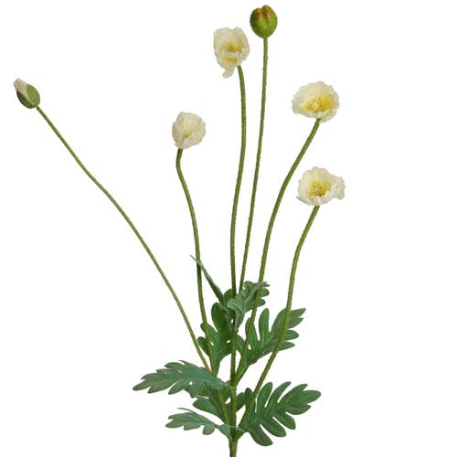 Floratexx - Wholesale Artificial flowers - iceland poppy 50 cm cream x6