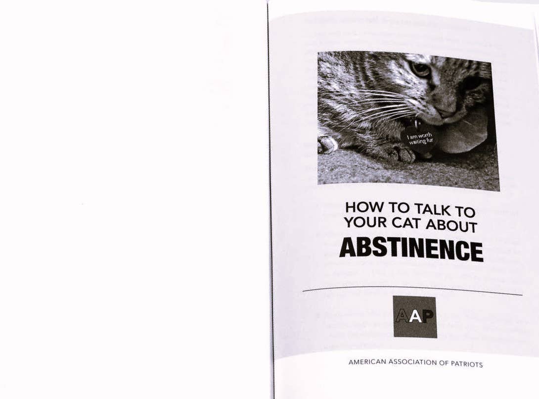 Microcosm Publishing & Distribution – Großhandel Humor – Sprechen Sie mit Ihrer Katze über Waffensicherheit: Und Abstinenz6