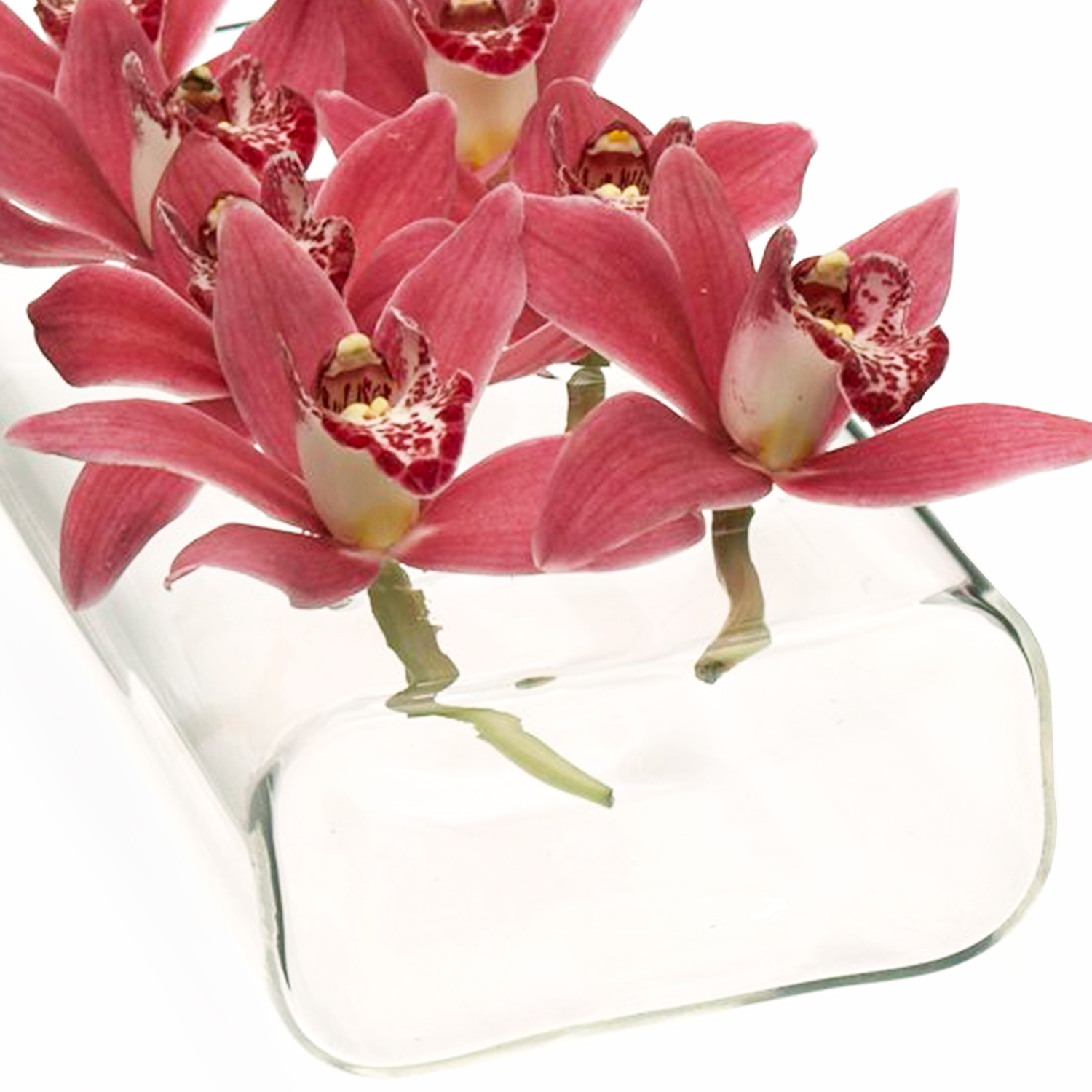 Chive - Wholesale Vase - Clear Vase Long For Floral Arrangements Centerpiece1