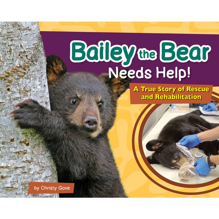 Bailey the Bear Needs Help! for wholesale by AdventureKEEN