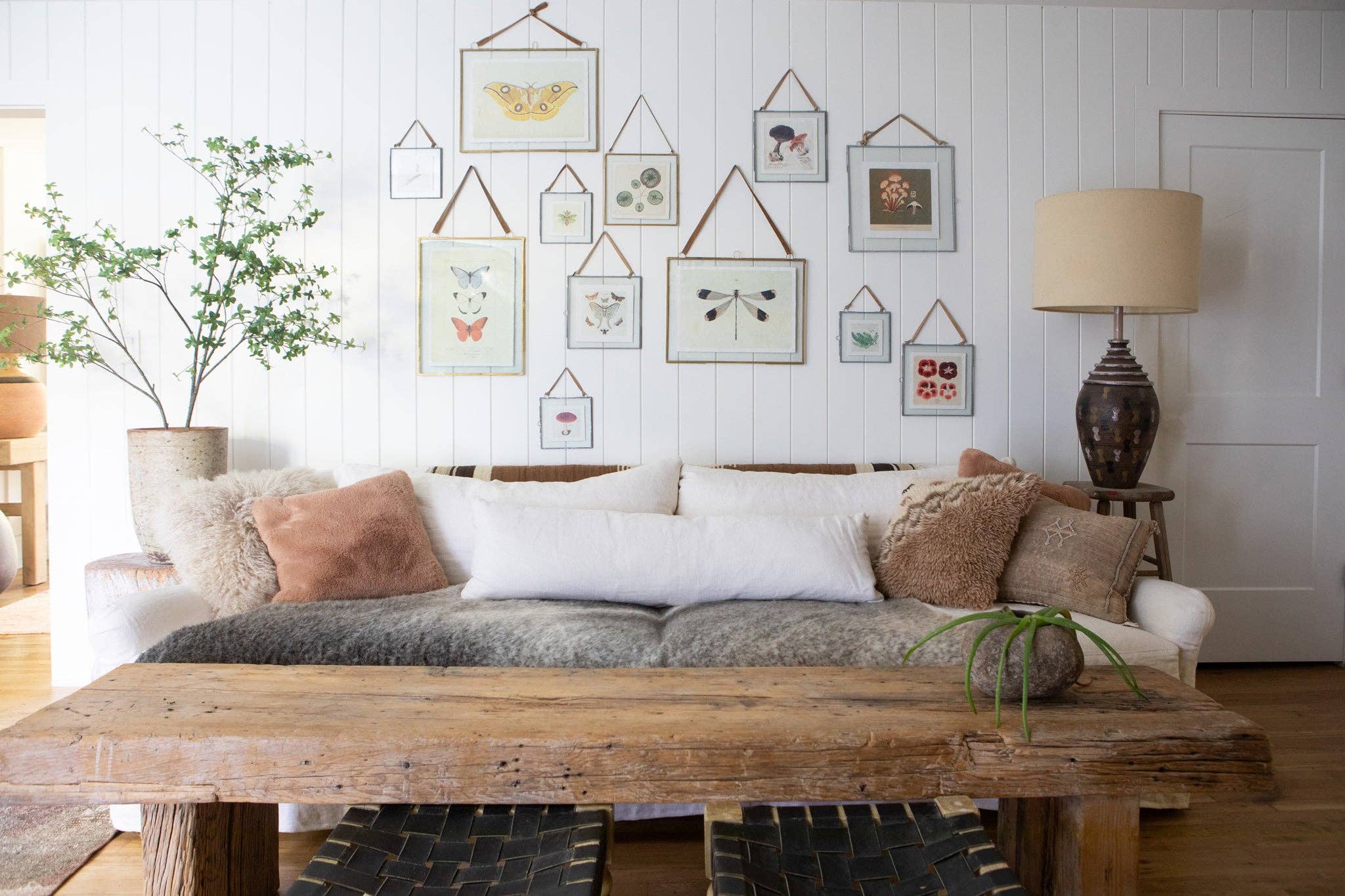 Sugarboo & Co - Wholesale Art Print - 8"x8" Yellow Butterfly - Flora & Fauna Collection3