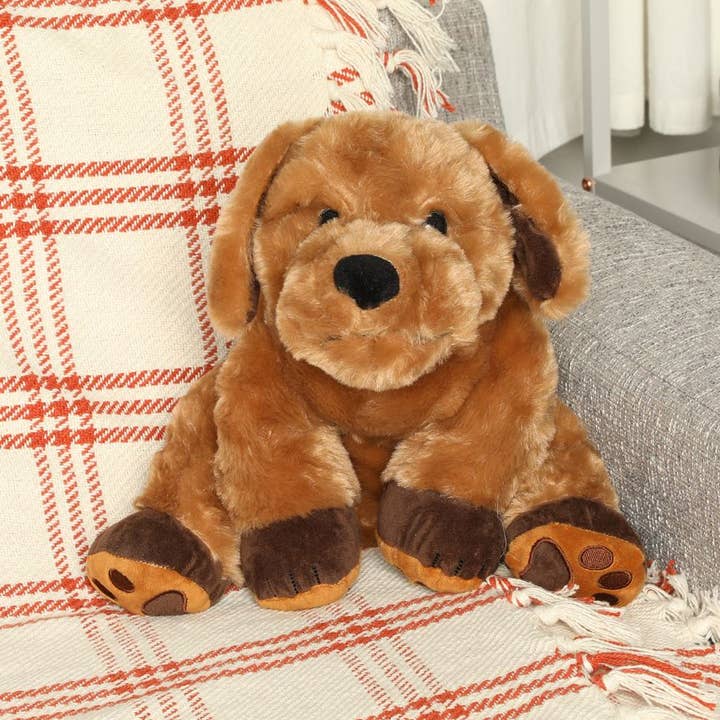 Theo, le chien de thérapie pour la vente par Roylco