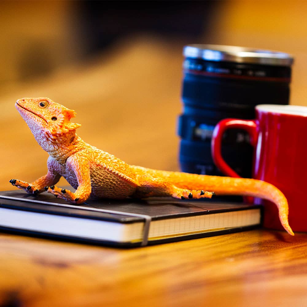 Safari Ltd. - Wholesale Decorative Figurine - Bearded Dragon Decorative Figurine5