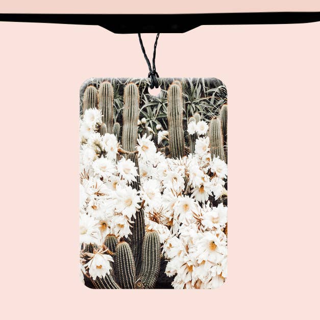 Boho Cactus Bil Filt Freshener for engroshandel hos Texas Petunias Boutique