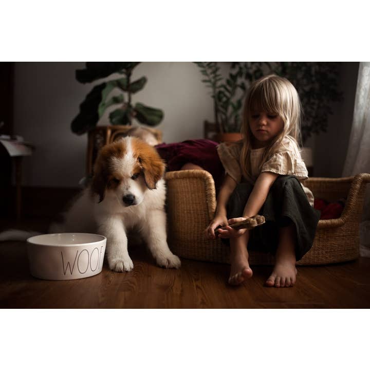 Medium Dog Basket | Eco-friendly Pet Bed | Handmade Dog Bed for wholesale by Mmabiabaskets