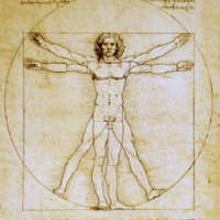 Museum Wholesale Inc - Wholesale Sculpture - Vitruvian Universal Man Statue by DaVinci, Bronze