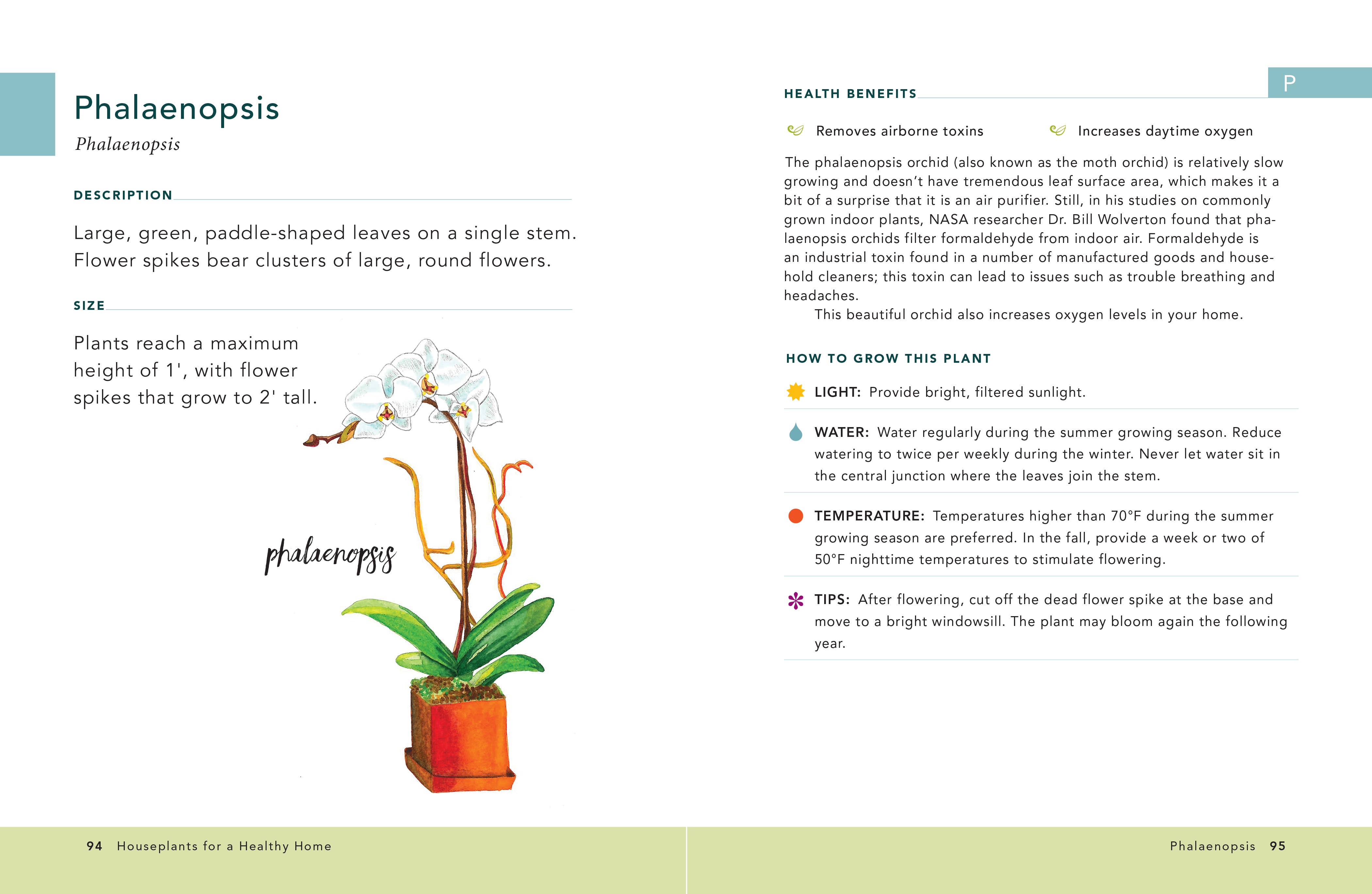 Simon & Schuster UK – wholesale Home and garden – Houseplants for a Healthy Home1
