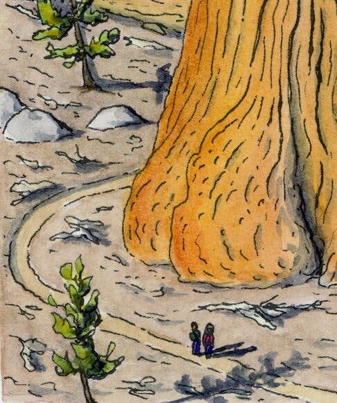 Noah Johnson Art - Wholesale Art Print - "Our Sequoia Sunset” Print1