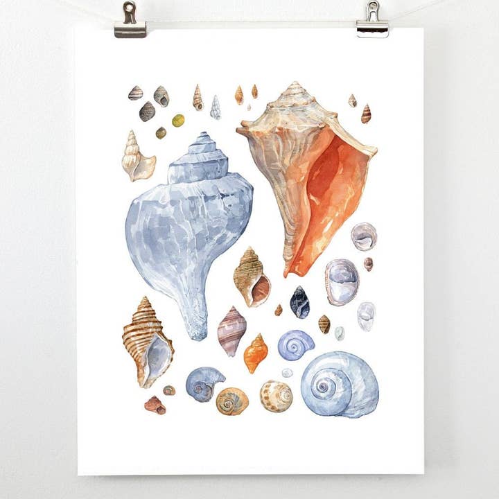 Seashell Maleri Kystnære Vægkunst, Akvarel Skaller Print for engroshandel hos Studio Tuesday