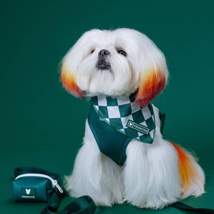 Frenchie - Wholesale Pet bandana – Dog - Frenchie Cooling Bandana - Emerald City4