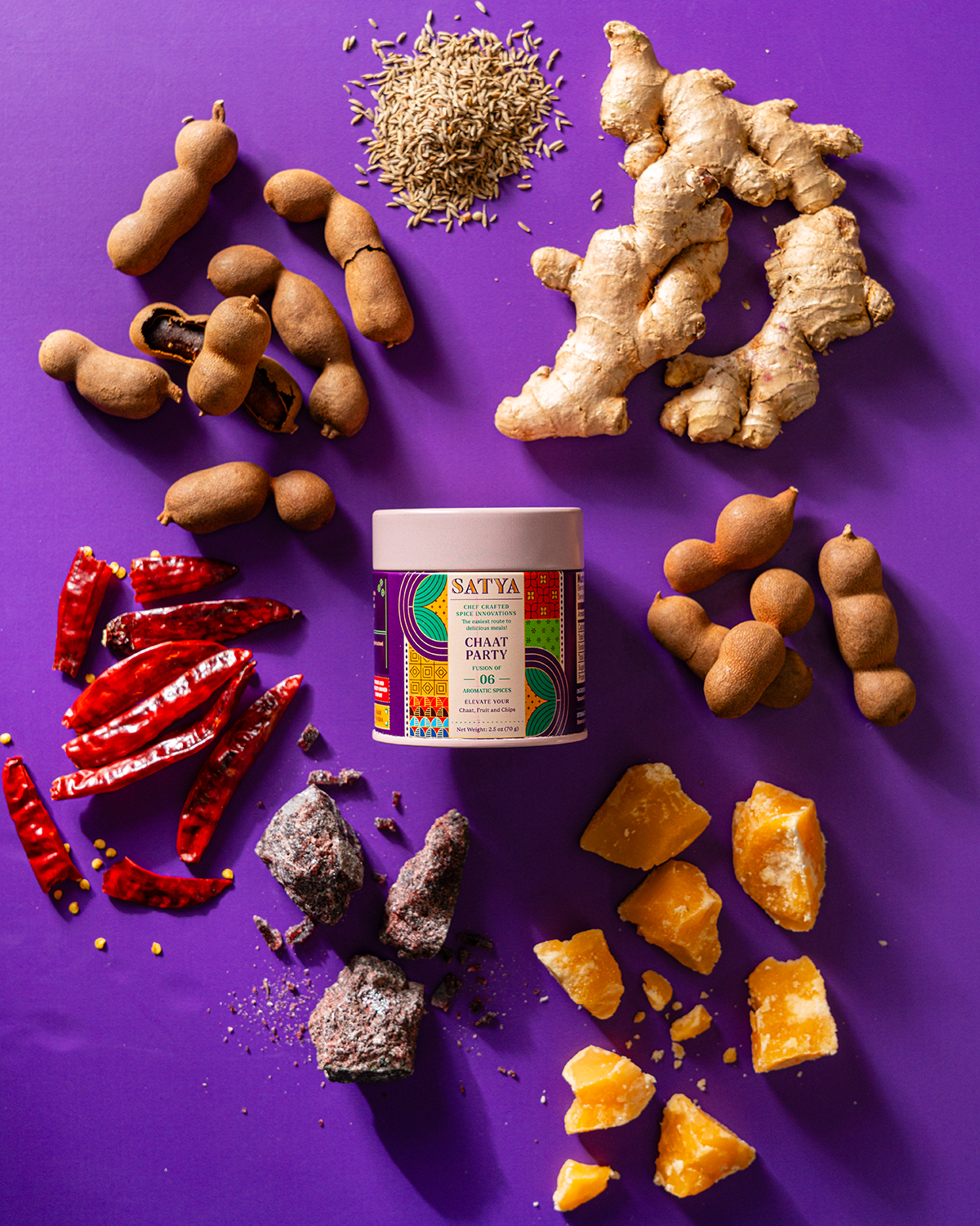 Satya - Wholesale Dried Spice Mix - Chaat Party1