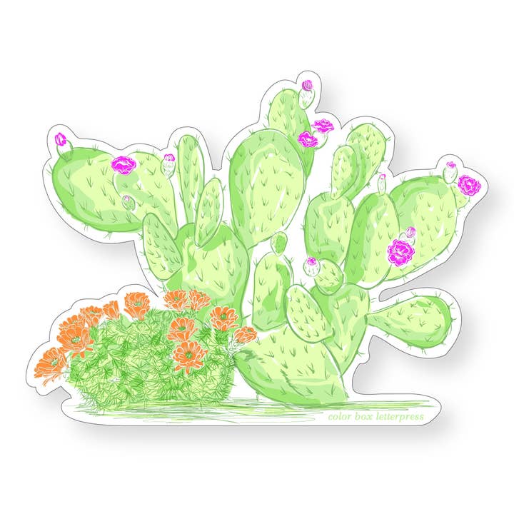 Cactus | Sticker per la vendita all'ingrosso da parte di Color Box Design & Letterpress
