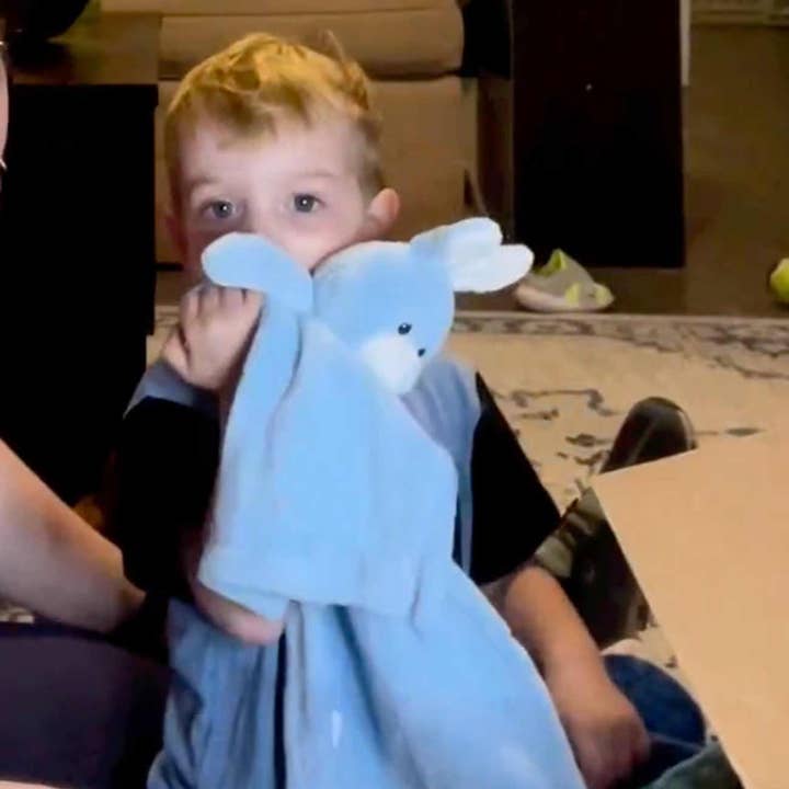 DIBSIES - Wholesale Security/Cuddle Blanket - Baby - Plush Baby Cuddler - Bear, Bunny, and Elephant3