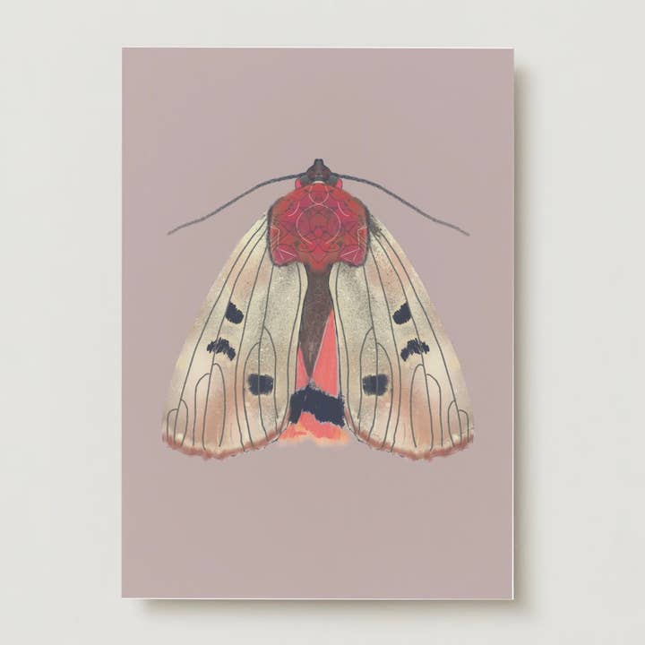 Cream moth insect moth greeting card for wholesale by Studio Angelart