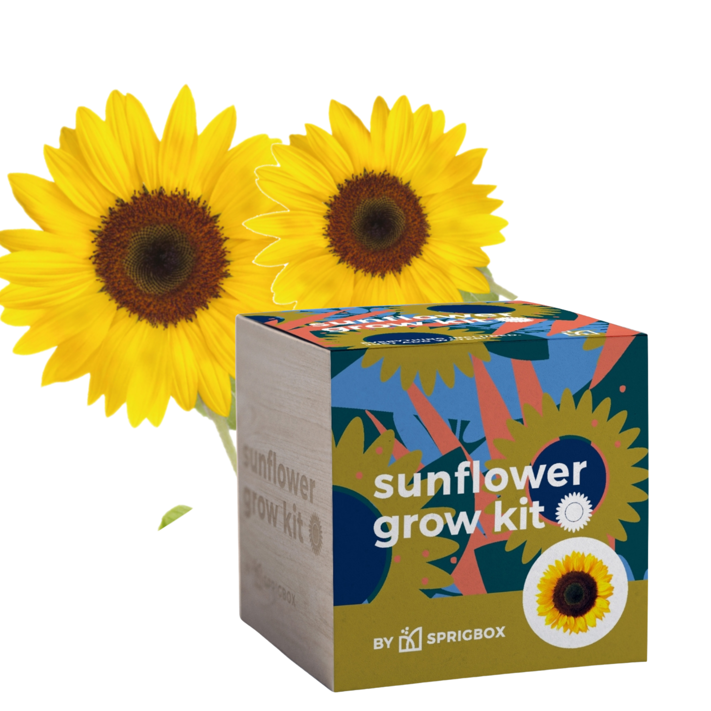 Sprigbox - Wholesale Planter Box - Grow Kits | Bestseller POS Display | Grow Plants from Seed6