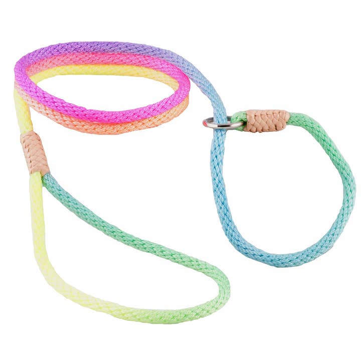 Alvalley - Wholesale Pet Leash - Dog - Nylon Slip Leads241