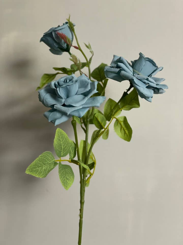 3 Cabeças Bunch Rosas Azul por atacado de JKF & Co Pty Ltd