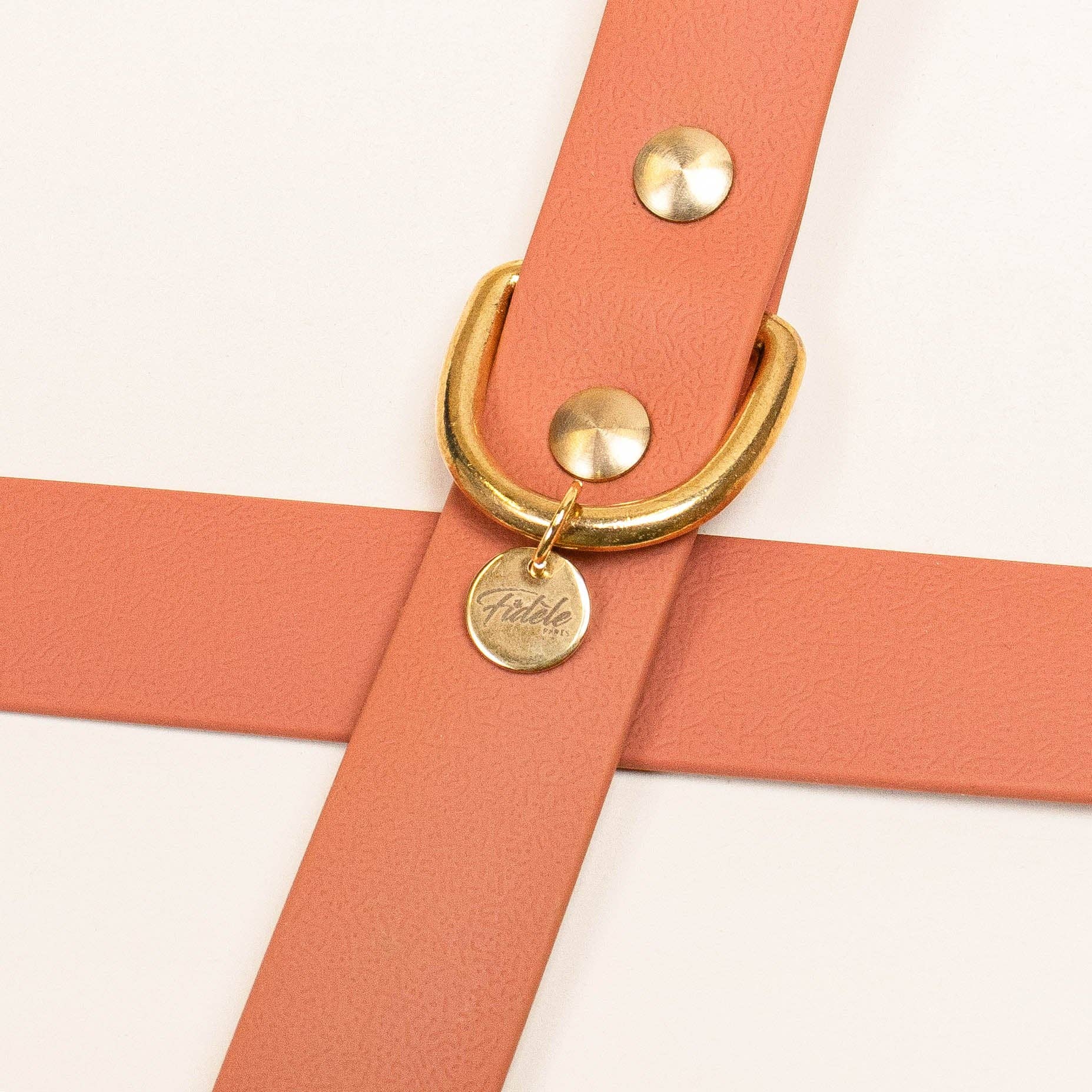 Fidèle Paris - Wholesale Pet Leash - Dog - Multi-position leash - Terracotta1