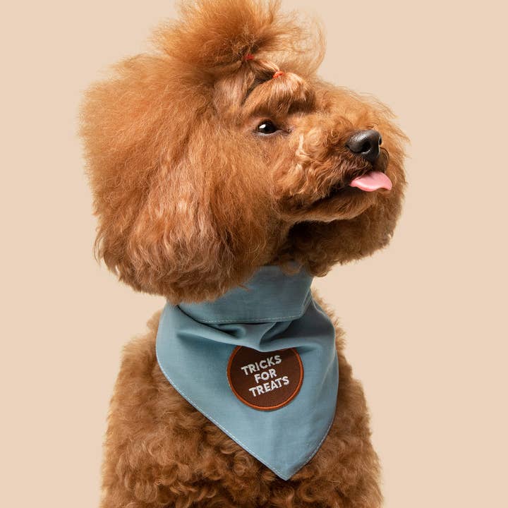 Scout's Honour Pty Ltd - Wholesale Pet Bandana - Dog - Tricks for Treats iron-on patch for dogs and cats1