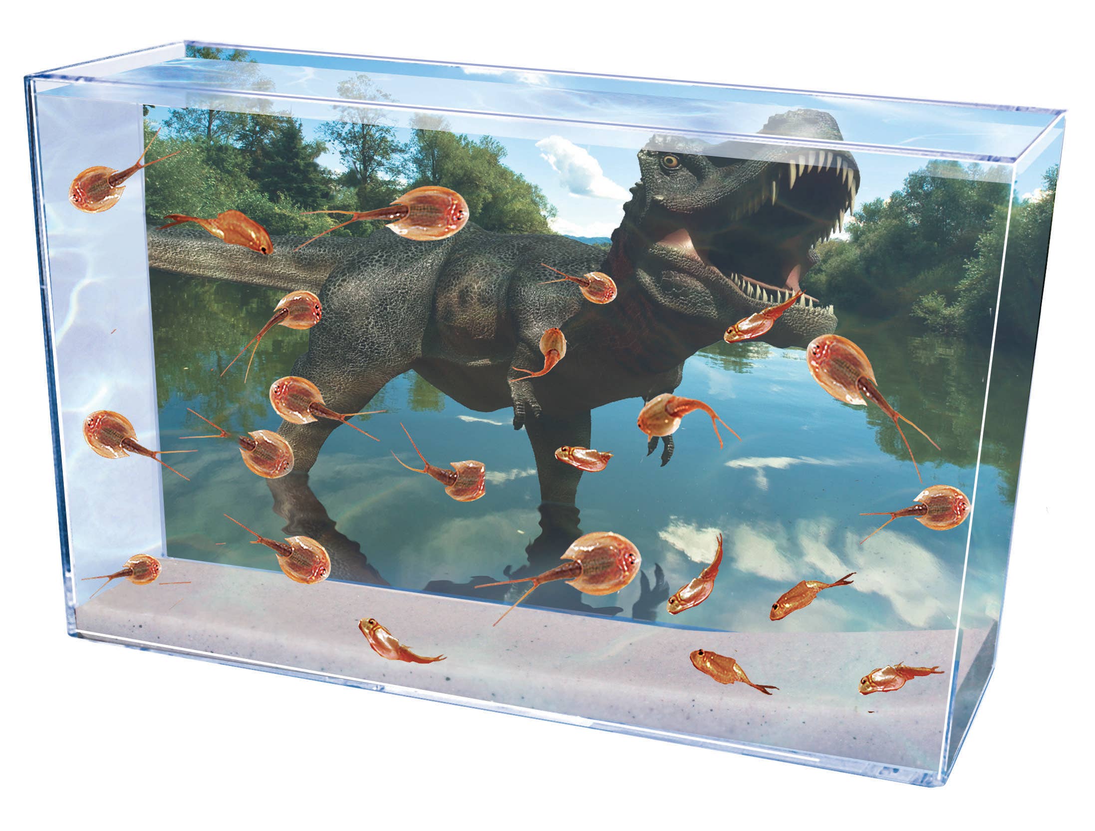 Toysmith - Wholesale Classic Toy - Kids - Smithsonian Prehistoric Sea Monsters Set2