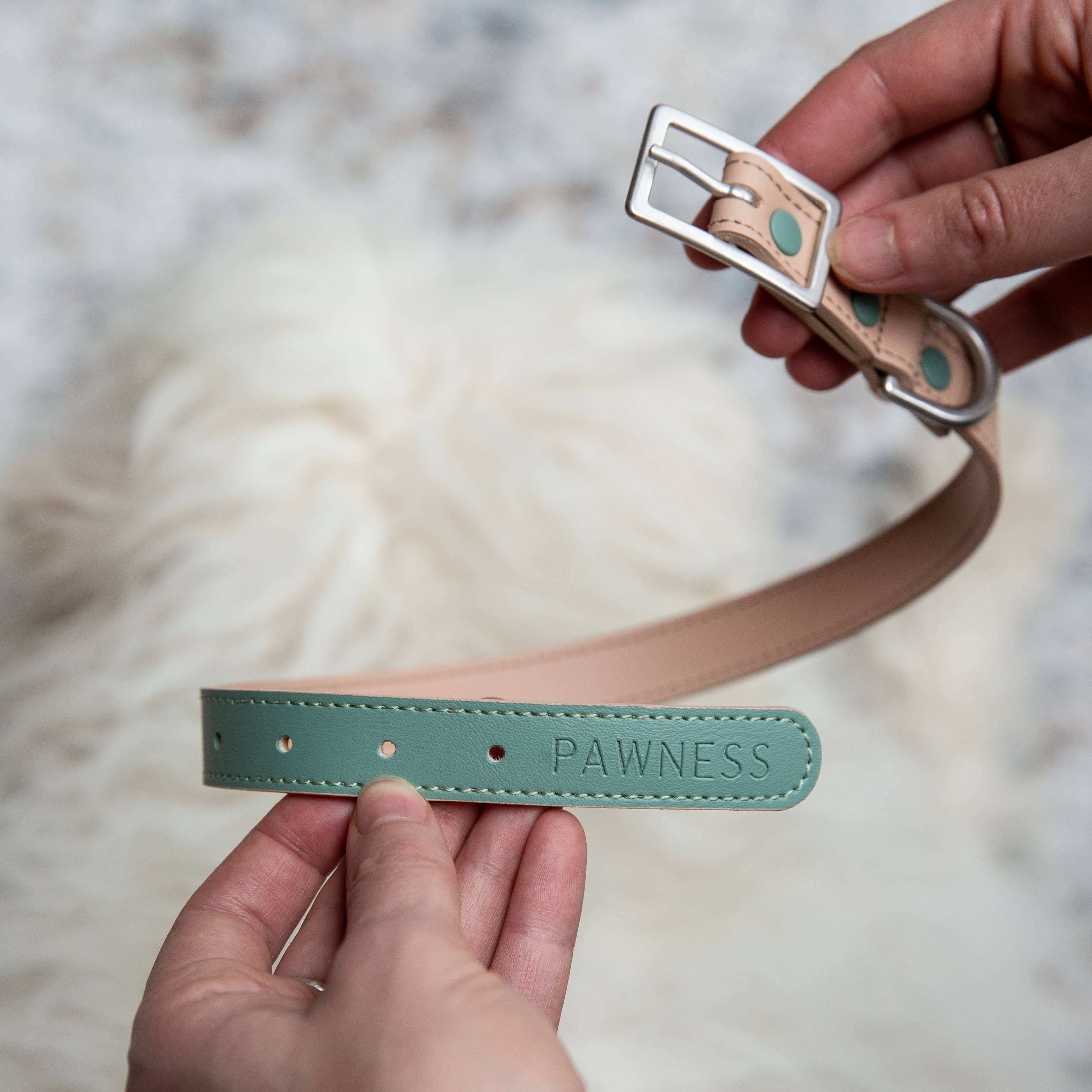 Dog Collar Bo - Emerald  for wholesale on Faire3