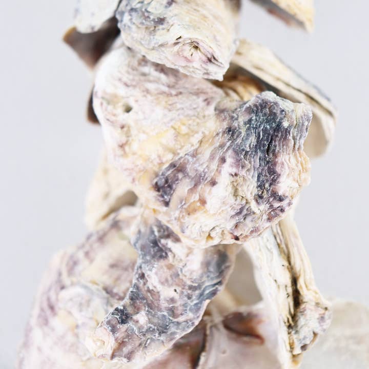 Modern Eastern by Contrast Inc. - Wholesale Bunting/Garland - Oyster Garland 26"2