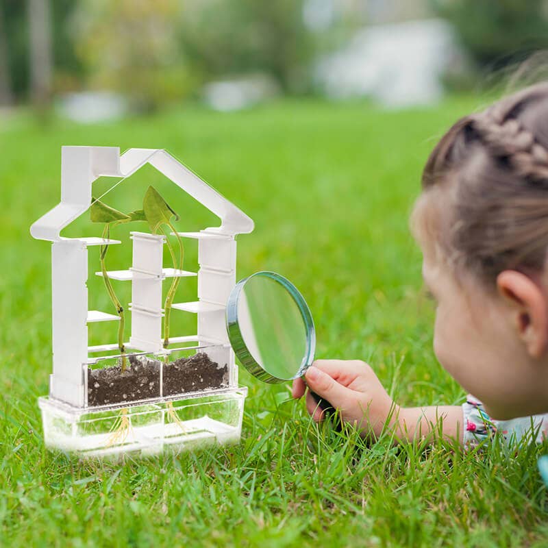 PlaySTEM - Wholesale DIY Craft Kit - Kids - Plant Maze - Botany Set1